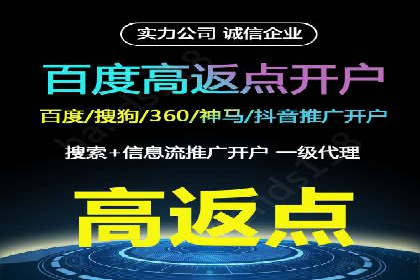 百度搜索推广实战经验：经典案例剖析
